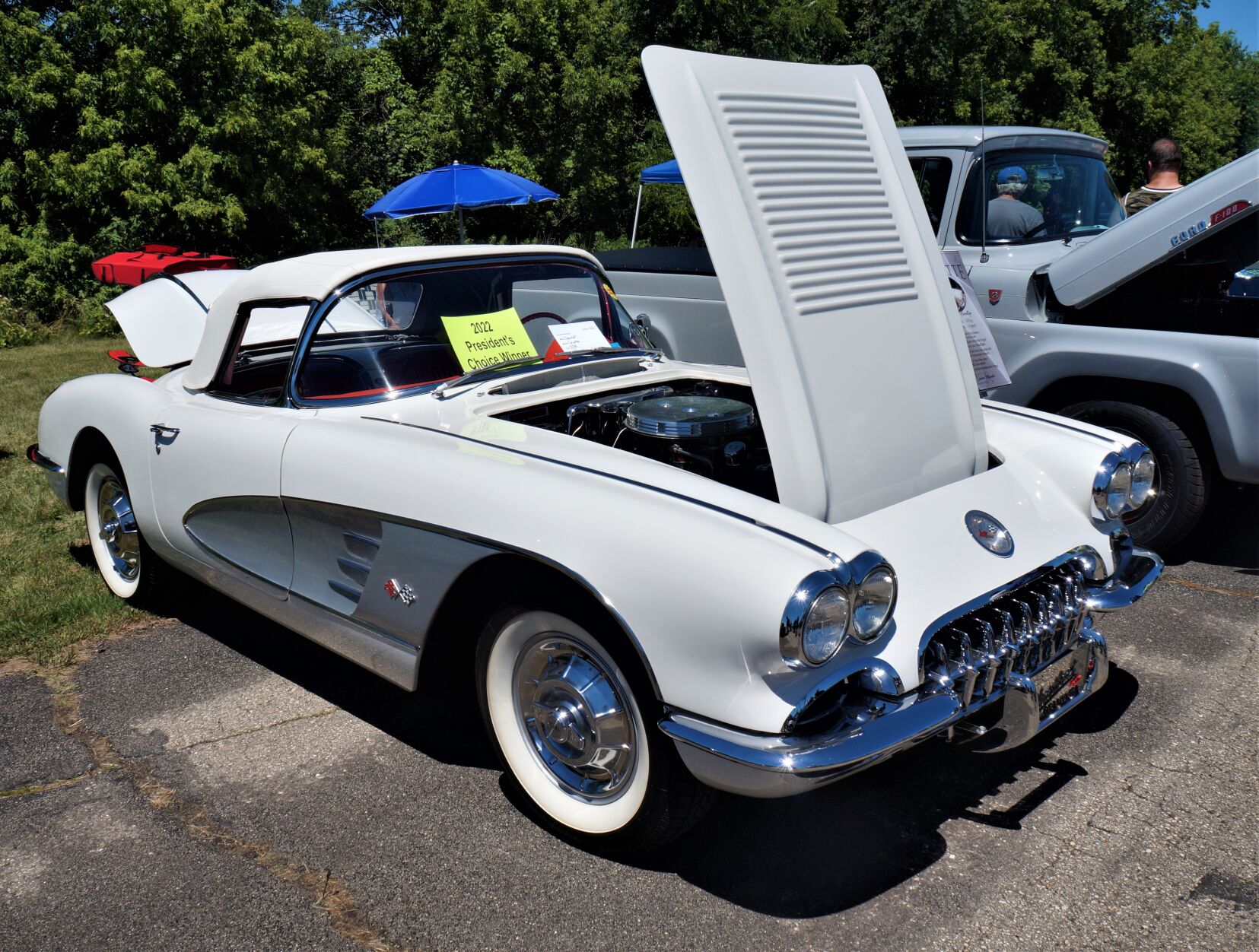 Cars that time forgot